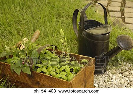 Close-up of gardening equipment View Large Photo Image Stock Image - Close-up of gardening equipment. Fotosearch