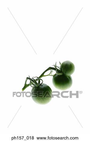 Close-up of three tomatoes View Large Photo Image Stock Photo - Close-up of three tomatoes. Fotosearch