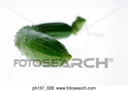 Cucumber, close-up View Large Photo Image Stock Photo - Cucumber, close-up. Fotosearch