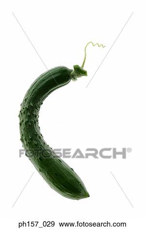 Stock Photo - Cucumber, close-up. Fotosearch