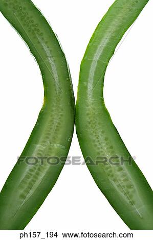 Picture - Cucumber, halved. Fotosearch