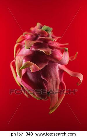 Dragon fruit View Large Photo Image Stock Image - Dragon fruit. Fotosearch