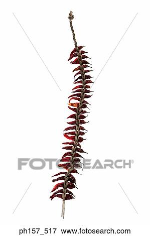 Dried chilli View Large Photo Image Stock Photo - Dried chilli . Fotosearch