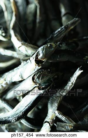 Dried fish, close-up View Large Photo Image Picture - Dried fish, close-up. Fotosearch