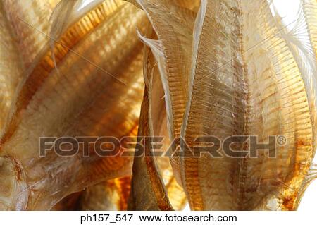 Dried fish, close-up View Large Photo Image Stock Photo - Dried fish, close-up. Fotosearch
