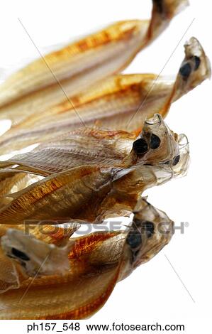 Stock Photo - Dried fish, close-up. Fotosearch