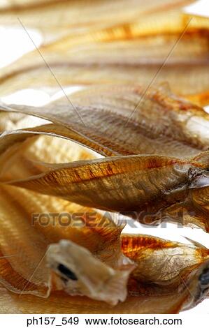 Stock Photo - Dried fish, close-up. Fotosearch