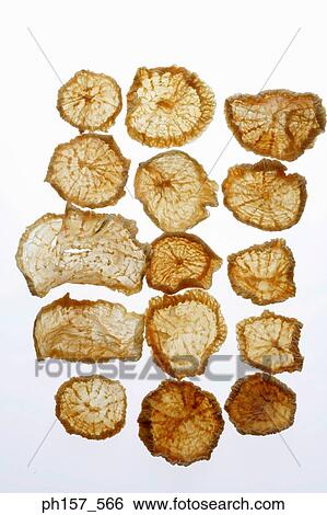 Dried Japanese radish View Large Photo Image Stock Photograph - Dried Japanese radish. Fotosearch