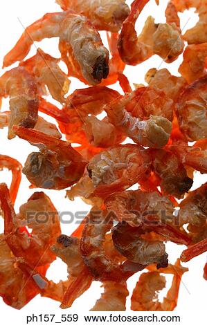 Stock Photo - Dried shrimps. Fotosearch