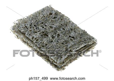 Dried whitebait View Large Photo Image Stock Photo - Dried whitebait. Fotosearch