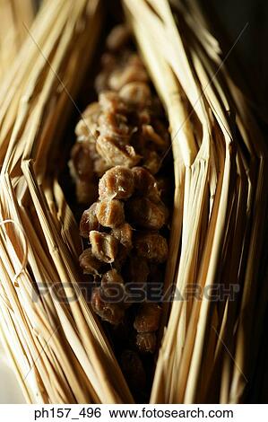 Stock Photograph - Fermented soybeans. Fotosearch