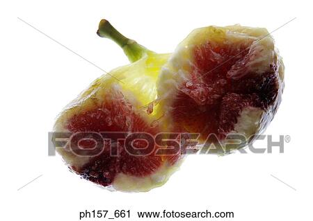 Fig View Large Photo Image Stock Image - Fig. Fotosearch