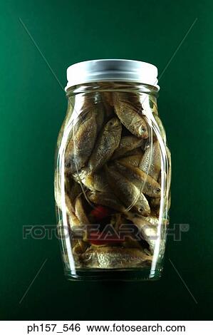 Stock Photograph - Fish in a bottle. Fotosearch