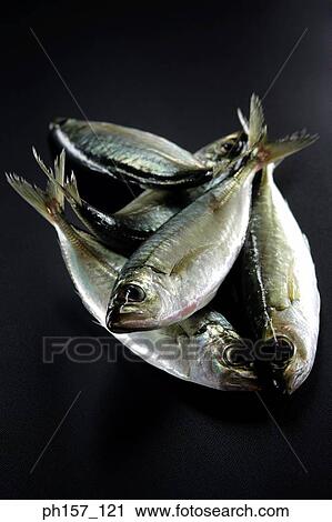 Fish on black table View Large Photo Image Stock Image - Fish on black table. Fotosearch