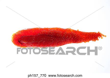 Fish roe View Large Photo Image Stock Image - Fish roe. Fotosearch