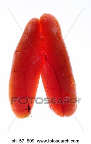 Fish roe View Large Photo Image Stock Photo - Fish roe. Fotosearch