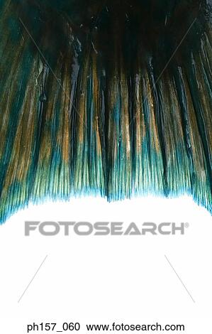 Fish Tail, close-up View Large Photo Image Stock Image - Fish Tail, close-up. Fotosearch
