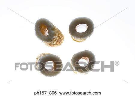 Four Japanese fish cake, close-up View Large Photo Image Stock Photograph - Four Japanese fish cake, close-up. Fotosearch