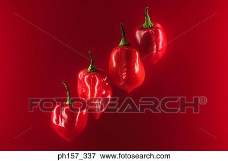 Four red chilli peppers View Large Photo Image Stock Photo - Four red chilli peppers. Fotosearch