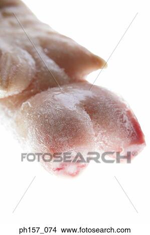 Frozen chicken View Large Photo Image Picture - Frozen chicken. Fotosearch