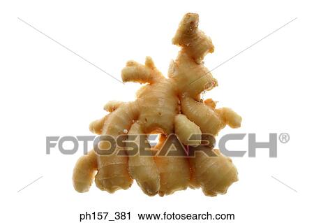 Stock Image - Ginger. Fotosearch