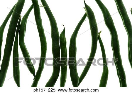 Stock Photography - Green beans. Fotosearch