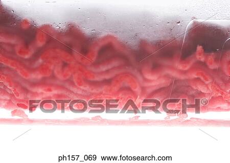 Ground meat in container View Large Photo Image Stock Photo - Ground meat in container. Fotosearch