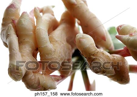 Stock Photo - Heap of ginger, close-up. Fotosearch