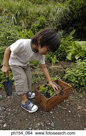 High angle view of a girl bending forward in a garden View Large Photo Image Picture - High angle view of a girl bending forward in a garden. Fotosearch