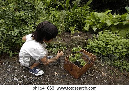 High angle view of a girl crouching in a garden View Large Photo Image Stock Image - High angle view of a girl crouching in a garden. Fotosearch