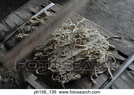 Stock Photo - High angle view of animal hide on the table. Fotosearch