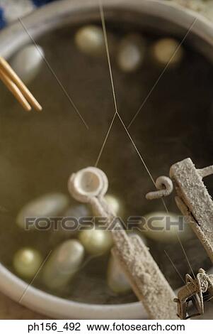 High angle view of silk cocoons in water View Large Photo Image Stock Image - High angle view of silk cocoons in water. Fotosearch