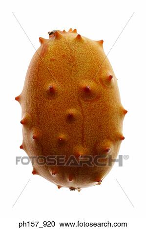 Stock Image - Horned melon or Kiwano fruit. Fotosearch