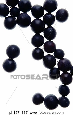Individual grapes on white background View Large Photo Image Stock Photo - Individual grapes on white background. Fotosearch
