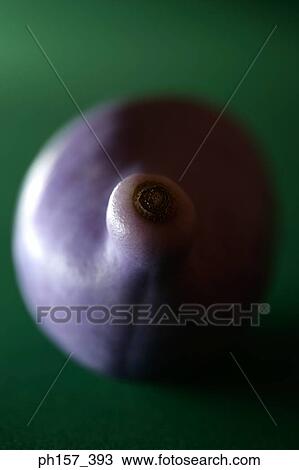 Japanese fruit, Akebi View Large Photo Image Stock Image - Japanese fruit, Akebi. Fotosearch