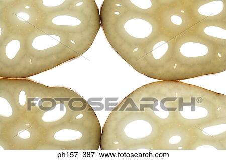 Lotus root, sliced View Large Photo Image Stock Photo - Lotus root, sliced. Fotosearch