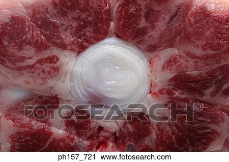 Meat, close-up View Large Photo Image Stock Image - Meat, close-up. Fotosearch