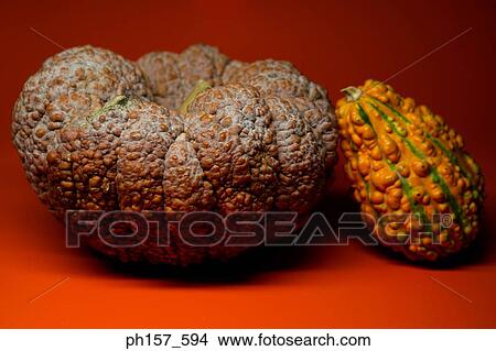 Melon and squash View Large Photo Image Picture - Melon and squash. Fotosearch
