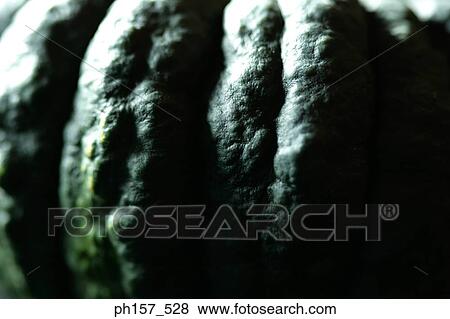 Melon, close-up View Large Photo Image Stock Photo - Melon, close-up. Fotosearch