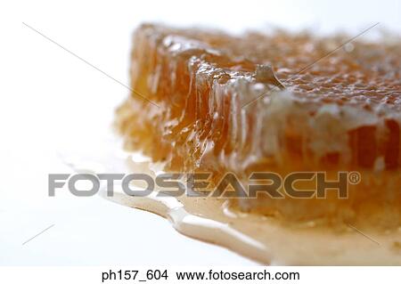 Melted honey View Large Photo Image Picture - Melted honey. Fotosearch