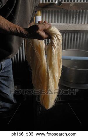 Mid section view of a man holding silk threads View Large Photo Image Stock Image - Mid section view of a man holding silk threads. Fotosearch