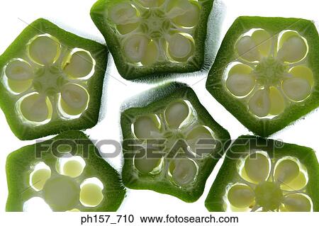 Okra, cross section View Large Photo Image Stock Image - Okra, cross section. Fotosearch