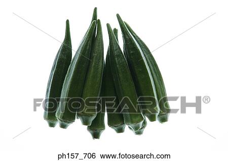 Okra View Large Photo Image Stock Photograph - Okra. Fotosearch