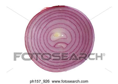 Stock Photograph - Onion, cross section. Fotosearch
