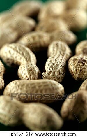 Peanuts on green background View Large Photo Image Stock Photo - Peanuts on green background. Fotosearch