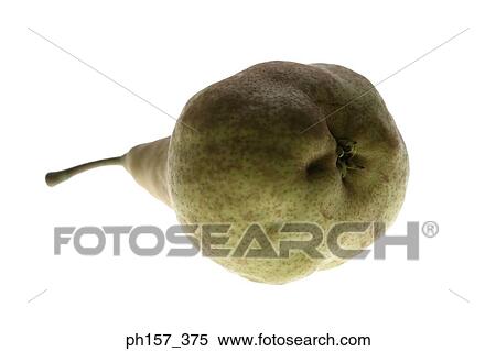 Pear, bottom view View Large Photo Image Stock Photography - Pear, bottom view. Fotosearch