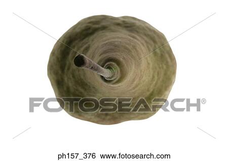 Pear, top view View Large Photo Image Stock Photograph - Pear, top view. Fotosearch
