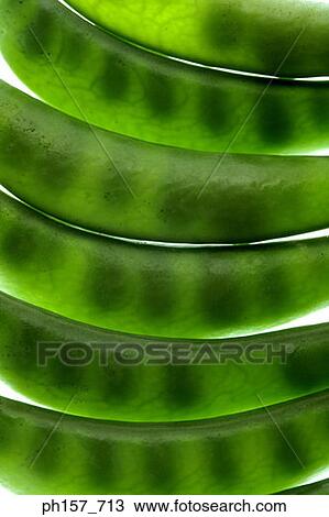 Peas and pods, close-up View Large Photo Image Stock Image - Peas and pods, close-up. Fotosearch