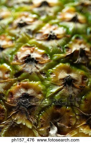 Pineapple, close-up View Large Photo Image Stock Photograph - Pineapple, close-up. Fotosearch