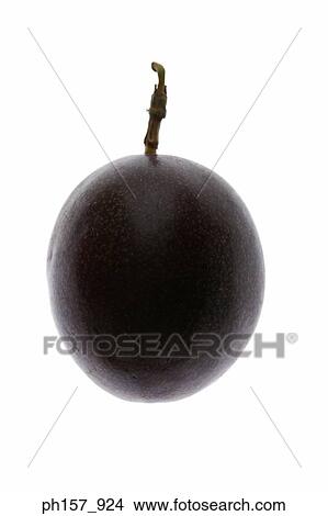 Picture - Plum. Fotosearch
